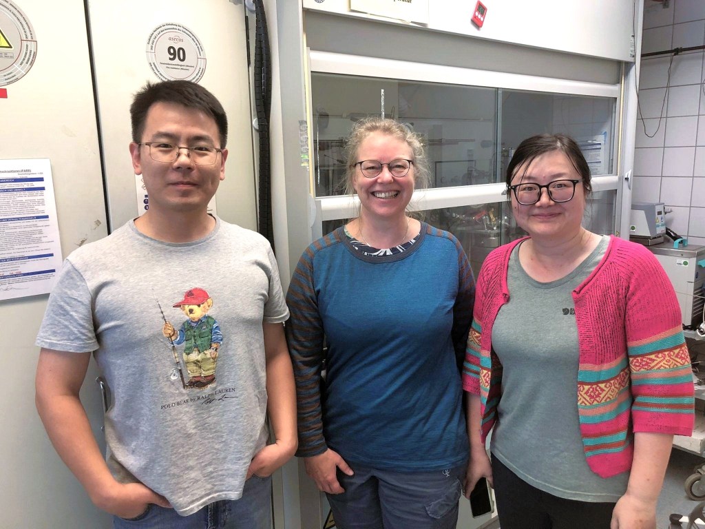 Advancing Biogeochemical Research on Underground Hydrogen Storage: HyDRA Team Visit to BGR,&nbsp;Hannover